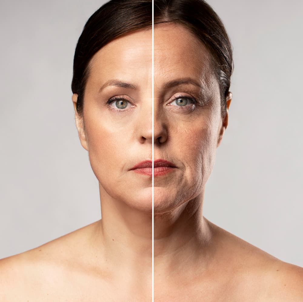 How Herbal Skincare Supports Anti-Aging